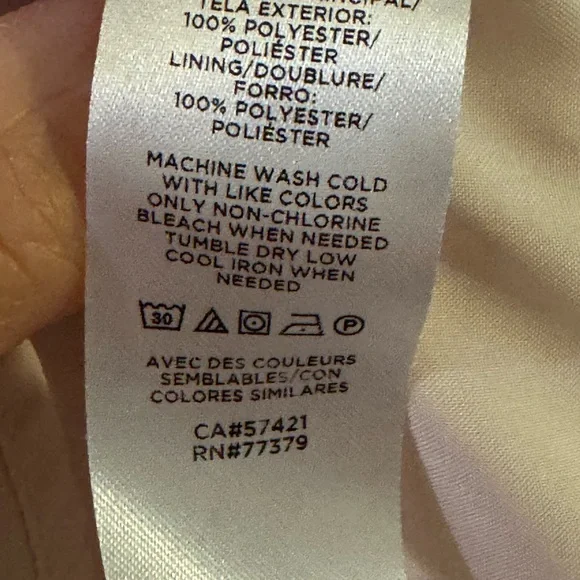 Ann Taylor Light Pink and Baby Blue Paisley/Floral Patterned Midi Dress Ruffled - Picture 10 of 11